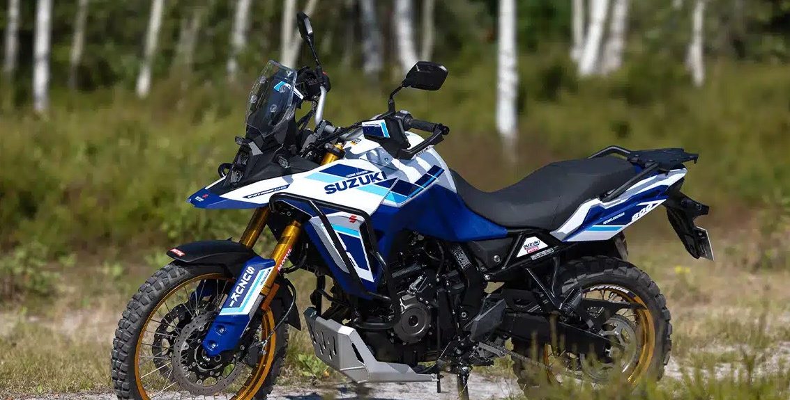 V-Strom 800DE djebel